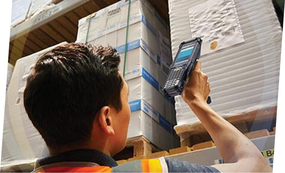 Warehouse e Distribuição